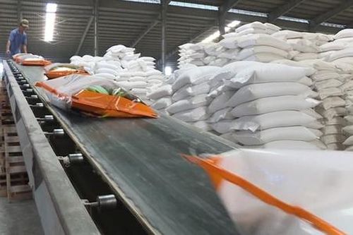 80% nông sản xuất khẩu của Việt Nam không có thương hiệu