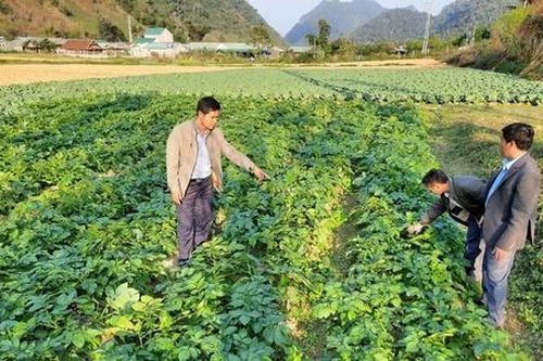 Vượt khó xây dựng nông thôn mới ở đỉnh trời Kỳ Sơn