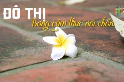 Đô thị trong cảm thức nơi chốn