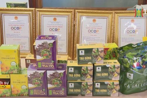 Kết nối tiêu thụ sản phẩm OCOP
