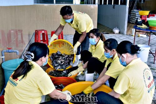 Sản phẩm OCOP Cái Nước sẵn sàng đến Festival Tôm