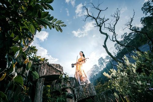 NSƯT Dương Thùy Anh gây ấn tượng với album độc tấu đàn nhị đặc biệt