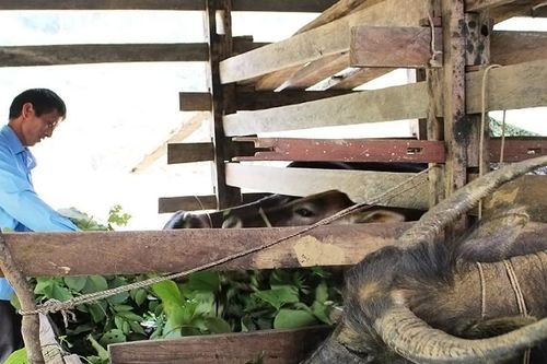 Nhiều cách làm hay ở Cao Bằng