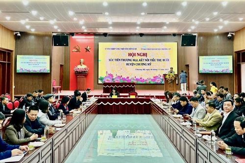 Hà Nội bàn giải pháp tiêu thụ 14.000 tấn bưởi tại huyện Chương Mỹ