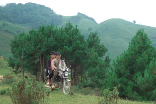 Phim tài liệu 'Sân bóng trên mây' chiếu ở Nhật Bản