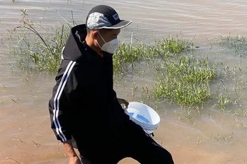 Người dân kiếm tiền triệu mỗi ngày nhờ 'lộc trời ban'