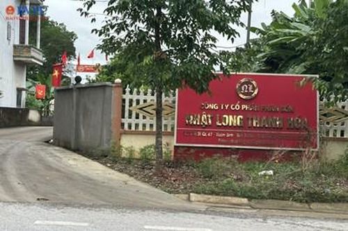 Sai phạm trong lĩnh vực môi trường, Công ty phân bón Nhật Long bị xử phạt