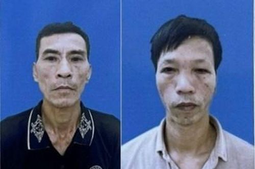 Triệt xóa ổ nhóm trộm 'đá xế' ở Hải Phòng