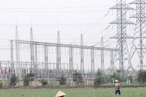 Chính sách tài chính đóng vai trò 'tay lái' trong phát triển Kinh tế Xanh