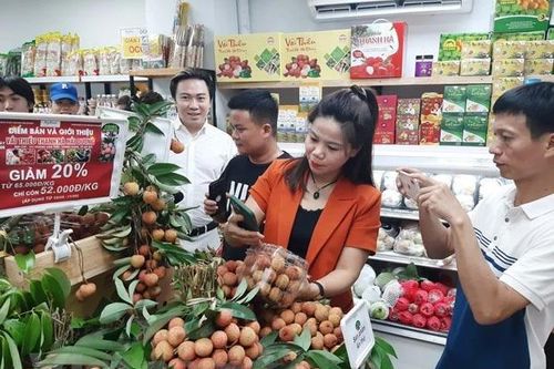 Tăng trưởng mạnh mẽ của Việt Nam mở ra nhiều cơ hội phát triển với Nhật Bản