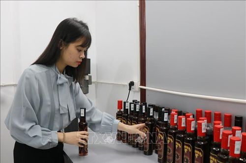 Đậm đà hương vị nước mắm cà cuống xứ Kinh Bắc
