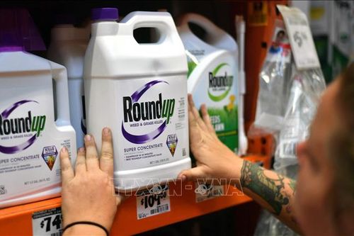 Công ty hóa chất Bayer bị phạt 3,5 triệu USD trong vụ kiện mới nhất
