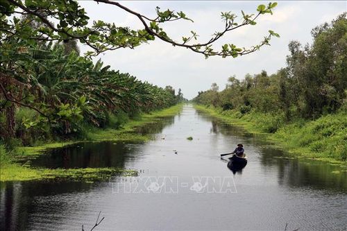 'Vùng rốn lũ' Đồng Tháp Mười của Tiền Giang khởi sắc