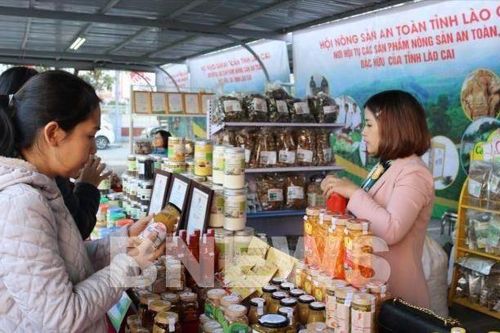 Lào Cai tích cực đưa các sản phẩm dược liệu lên sàn thương mại điện tử