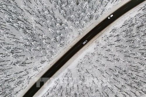 Đức: Ít nhất 4 người thiệt mạng trong các vụ tai nạn đường bộ do tuyết dày