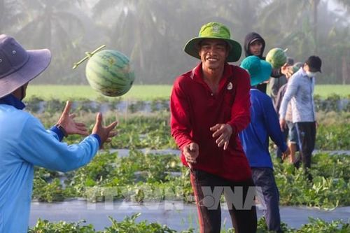 Hậu Giang sẽ bứt phá trong năm 2024 để hoàn thành kế hoạch 5 năm