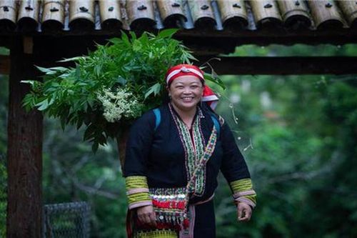 Lào Cai: Phát triển thương mại, sản xuất dược liệu gắn với du lịch cộng đồng vùng miền núi