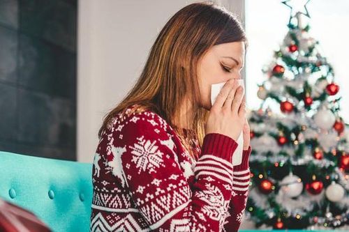 Những điều cần biết về tình trạng dị ứng với cây thông Noel