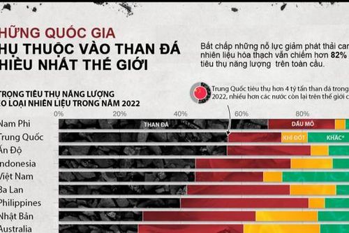 Những quốc gia phụ thuộc vào than đá nhiều nhất thế giới, Việt Nam trong top 5