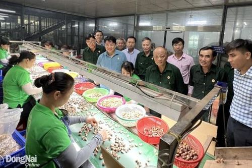 Kỷ niệm 34 năm Ngày thành lập Hội Cựu chiến binh Việt Nam (6-12): Phát huy vai trò cựu chiến binh gương mẫu