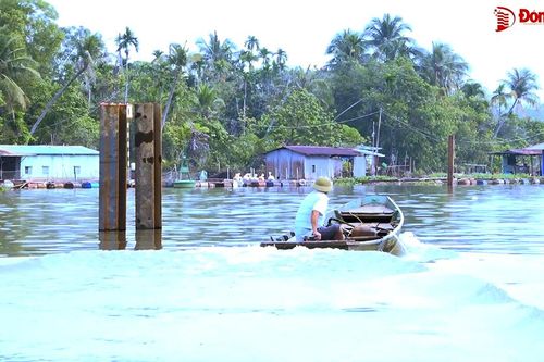 Chú ý an toàn đường thủy khi thi công nhiều dự án trên sông và ven sông