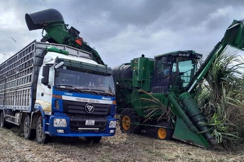 Công ty cổ phần Nông nghiệp AgriS Gia Lai: Đảm bảo hài hòa lợi ích giữa Doanh nghiệp và nông dân