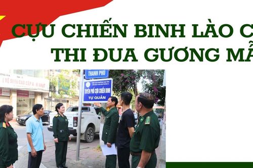 Cựu chiến binh Lào Cai thi đua gương mẫu