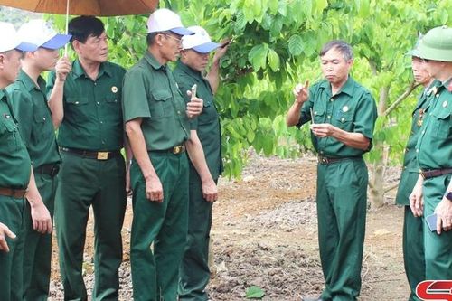 Xứng đáng truyền thống Bộ đội Cụ Hồ