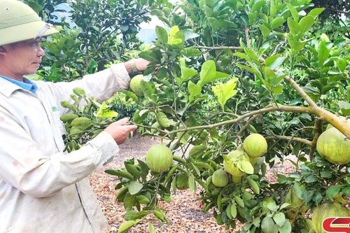 Đổi thay Huổi Một