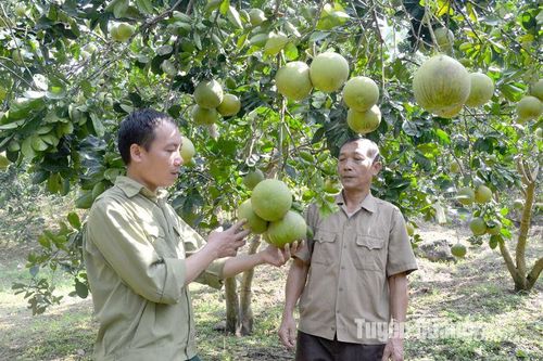 Xây dựng tổ chức Hội vững mạnh toàn diện