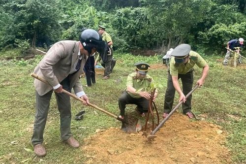 Để lâm nghiệp thực sự trở thành ngành kinh tế mũi nhọn