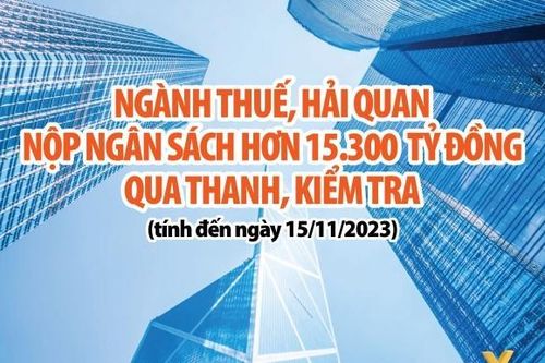 Ngành Thuế và Hải quan nộp ngân sách hơn 15.300 tỷ đồng qua thanh tra, kiểm tra