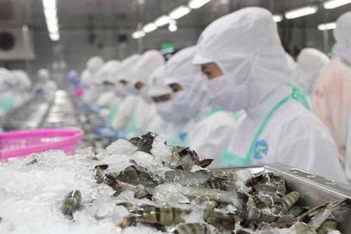 Nhiều dư địa xuất khẩu tôm sang thị trường Trung Đông