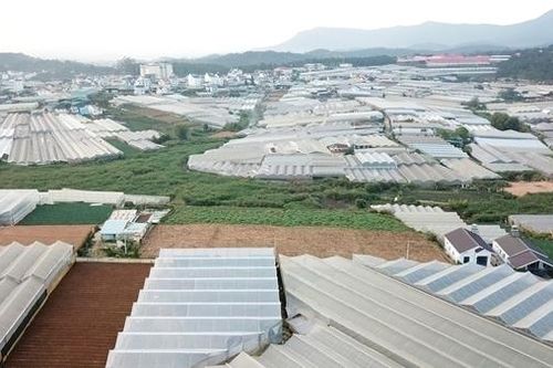 Hủy 213 thông báo thu hồi đất tại dự án dân cư lớn nhất Đà Lạt
