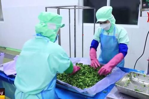 Cơ hội đột phá thương mại, đầu tư Việt Nam-Hoa Kỳ