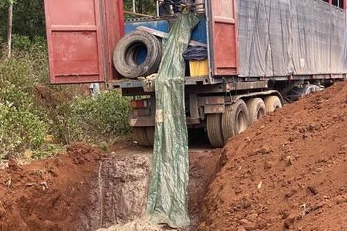 Tiêu hủy 5,5 tấn cá tầm nhập lậu