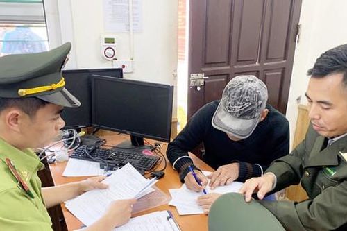 Hà Nội tăng cường các biện pháp bảo vệ chim hoang dã