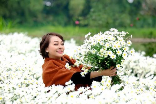 Nghệ sĩ Trà My ngẫu hứng bên vườn cúc họa mi ở Hải Dương