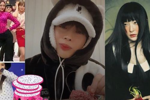 'Lần đầu tiên trái thanh long...' lan tới K-Pop: Hanbin 'xịt keo', NewJeans hát bài ca thanh long