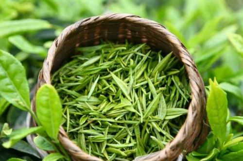 Từ bao giờ vậy? (Kỳ 7)