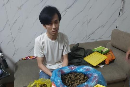 Bắt quả tang đối tượng mua bán, tàng trữ 4,5 kg cần sa