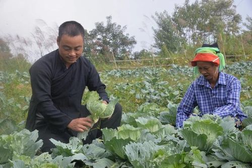 Một nông dân ở Hà Giang hết nghèo nhờ mô hình kinh tế tổng hợp
