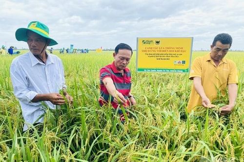 Có đến 80% nông sản xuất khẩu của Việt Nam chưa xây dựng được thương hiệu