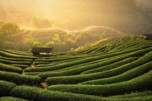 Thái Nguyên đón gần 2,5 triệu lượt khách du lịch trong năm 2023