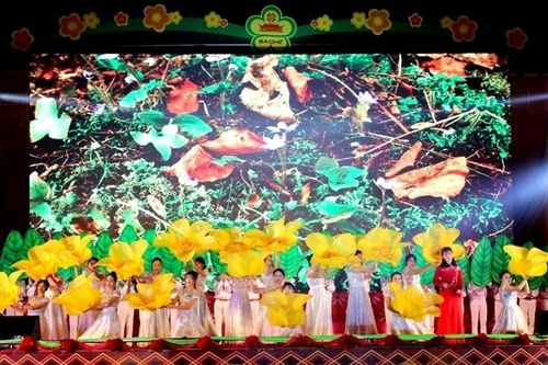Sắp diễn ra Hội Trà hoa vàng Ba Chẽ lần thứ IV