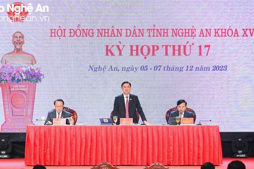 Công tác quản lý, hiệu quả sử dụng đất của các nông, lâm trường và tổng đội thanh niên xung phong còn nhiều hạn chế