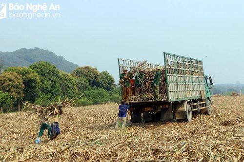 Cử tri ghi nhận trả lời chất vấn của ngành Tài nguyên và Môi trường, Nông nghiệp & PTNT