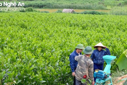 Một số cử tri muốn làm rõ thời hạn bàn giao, cấp giấy chứng nhận quyền sử dụng đất có nguồn gốc từ nông, lâm trường