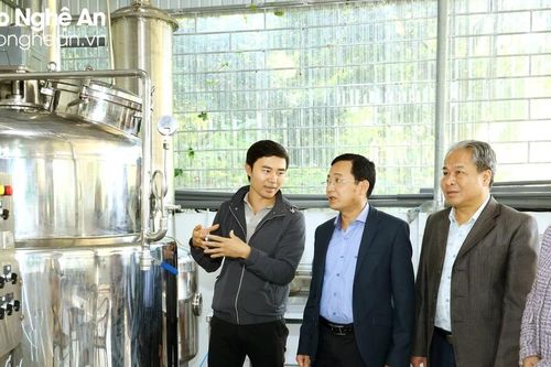 Từng bước đổi mới, nâng hiệu quả hoạt động của hợp tác xã theo chuỗi giá trị