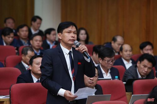 Kỳ họp thứ 17: Đại biểu chất vấn nhiều vấn đề lĩnh vực kinh tế